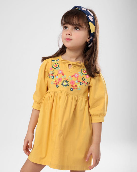 Baby Embroidered Poplin Dress - فستان بيبي بناتي بوبلين مطرز